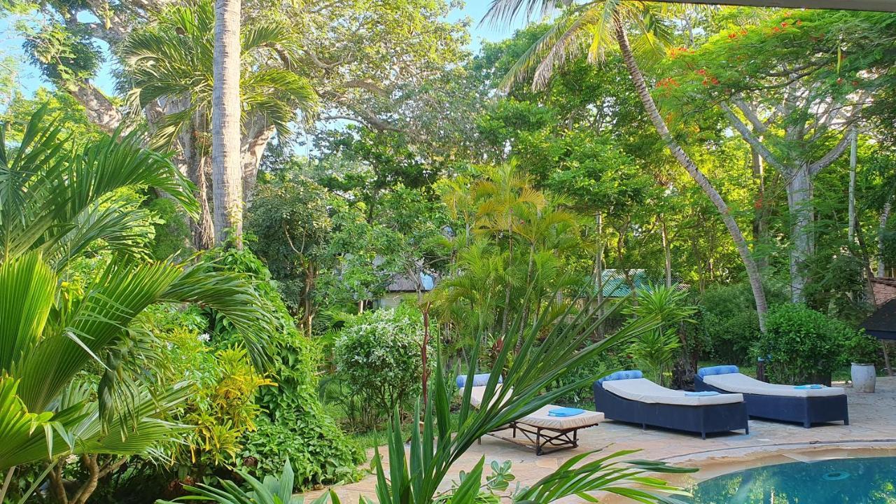 Mami Wata House Bed and Breakfast Kwale Eksteriør billede